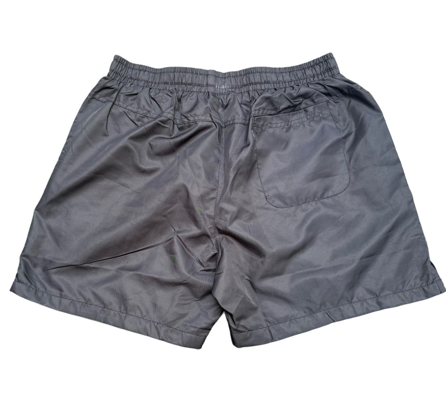 Go Figure Nylon Shorts